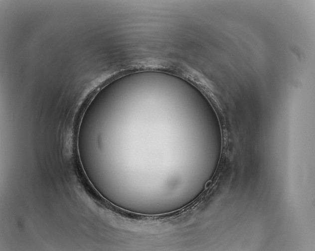 X0000110730012200906191535