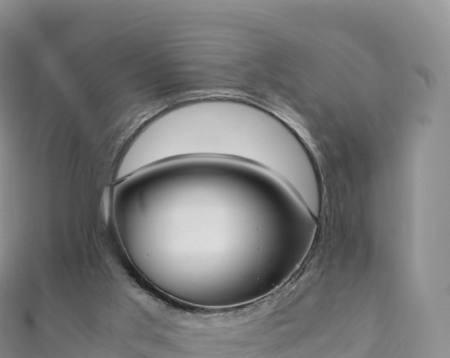 X0000110730013200906191535