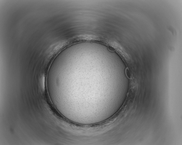 X0000110730014200906191535