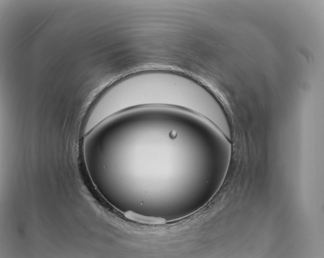 X0000110730015200906191535