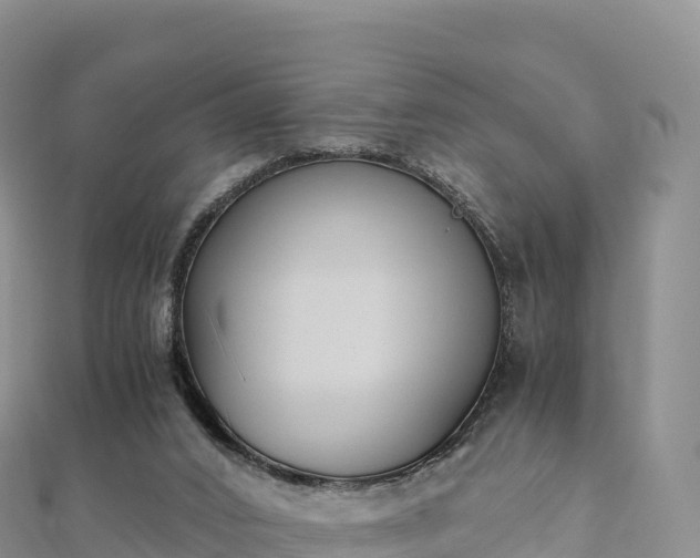 X0000110730016200906191535