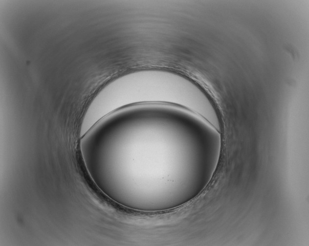 X0000110730017200906191535