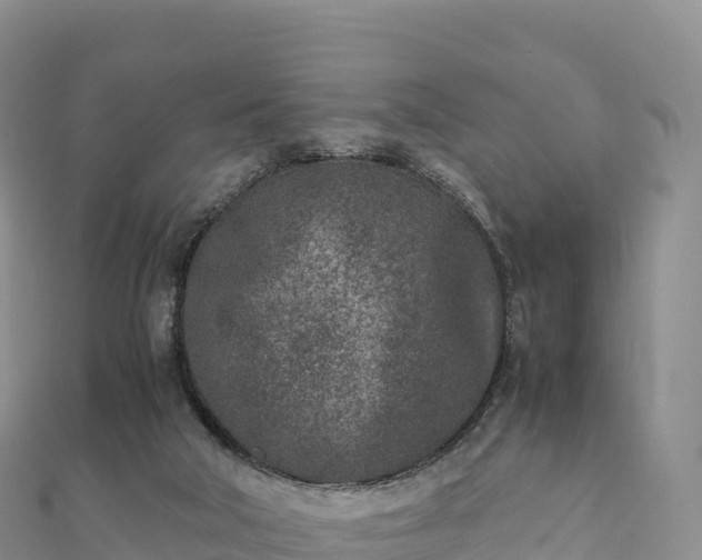 X0000110730018200906191535