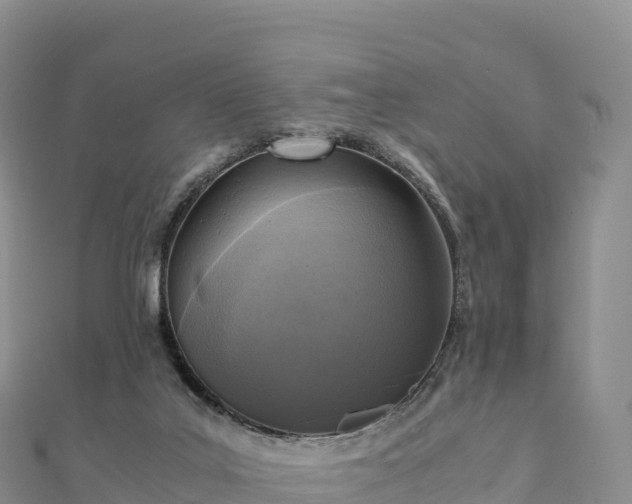 X0000110730019200906191535