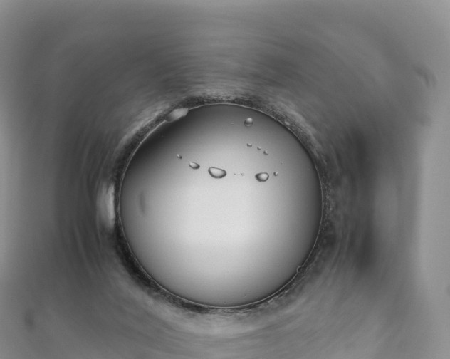 X0000110730020200906191535