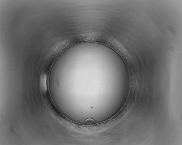 X0000110730022200906191535