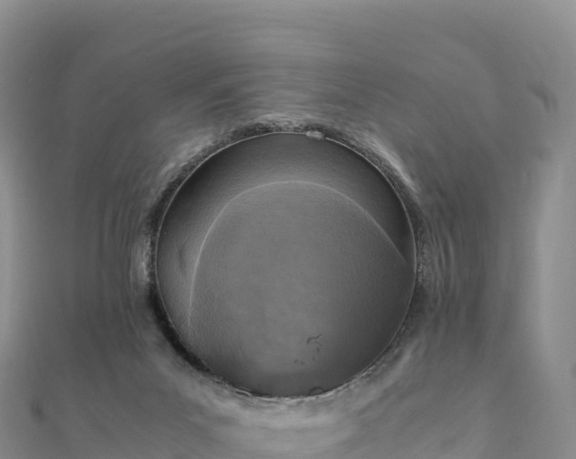 X0000110730023200906191535