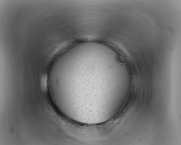 X0000110730024200906191535