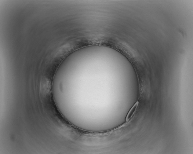 X0000110730025200906191535