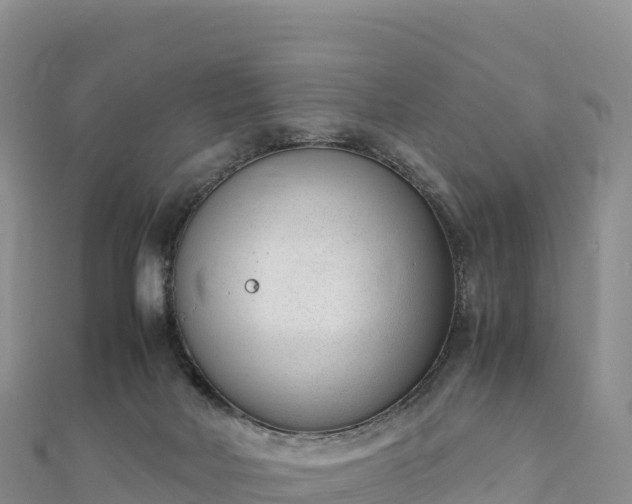 X0000110730026200906191535