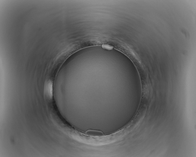 X0000110730027200906191535