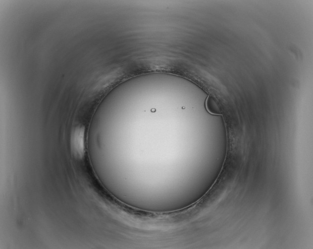 X0000110730028200906191535