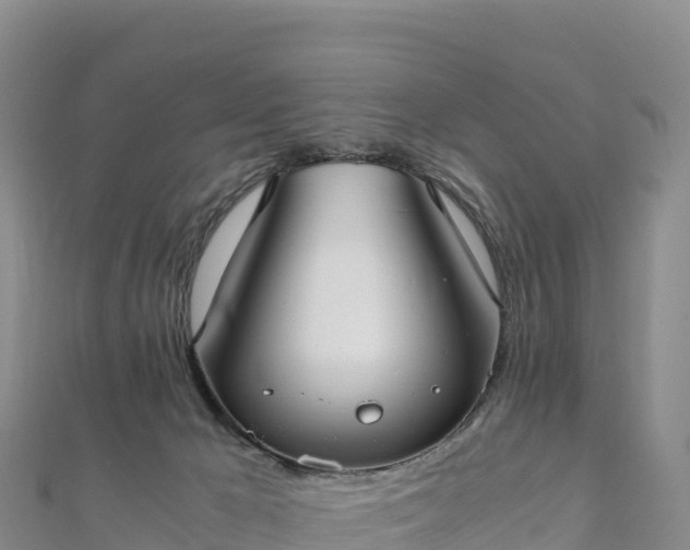 X0000110730029200906191535