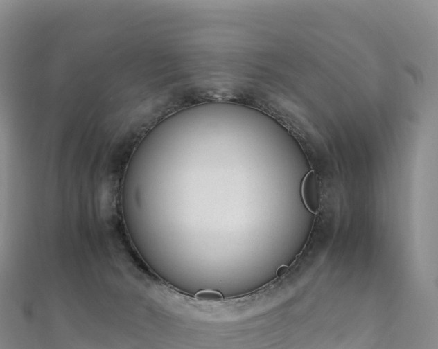 X0000110730030200906191535