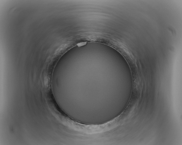 X0000110730031200906191535