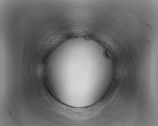 X0000110730034200906191535