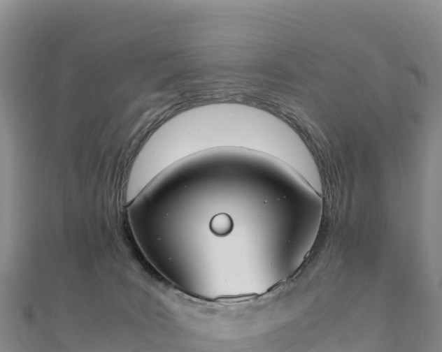 X0000110730035200906191535