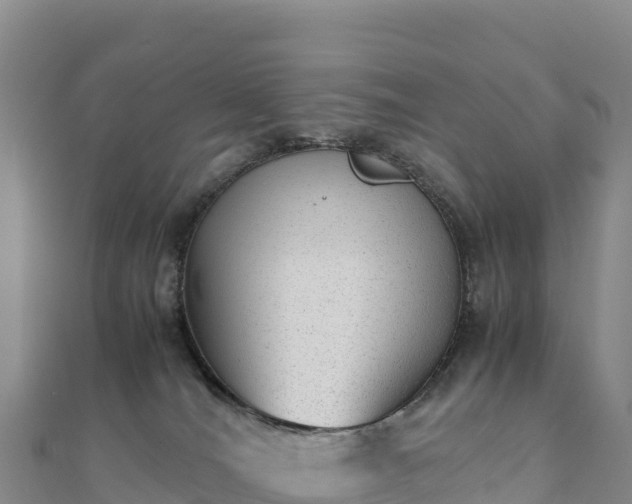 X0000110730036200906191535