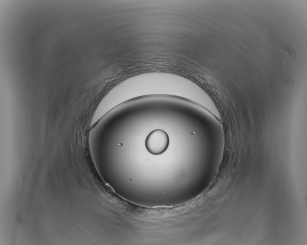 X0000110730037200906191535