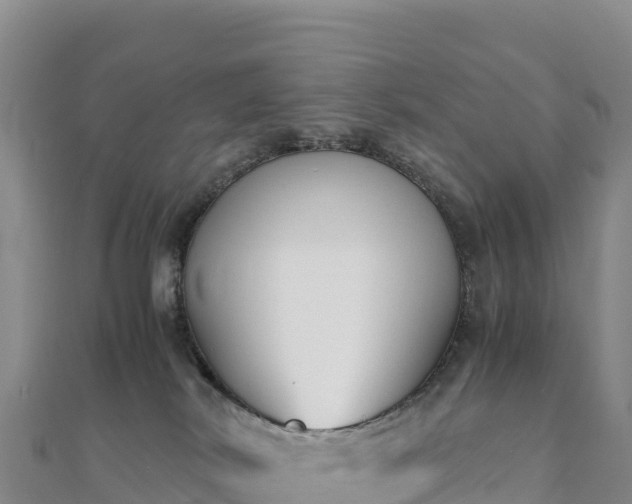 X0000110730038200906191535