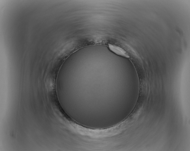 X0000110730039200906191535