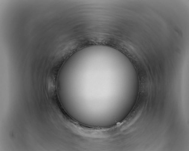 X0000110730040200906191535