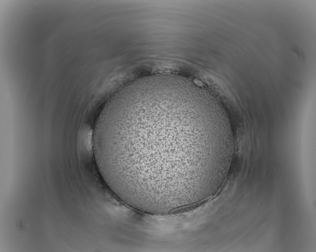 X0000110730041200906191535