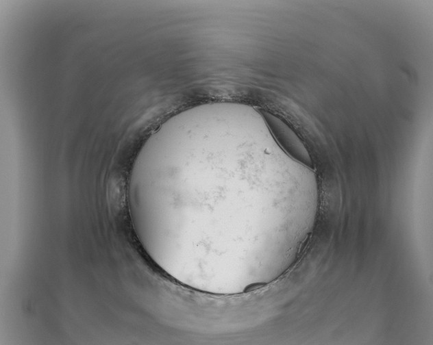 X0000110730043200906191535