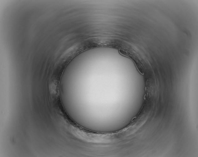 X0000110730044200906191535