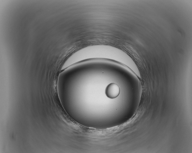 X0000110730045200906191535