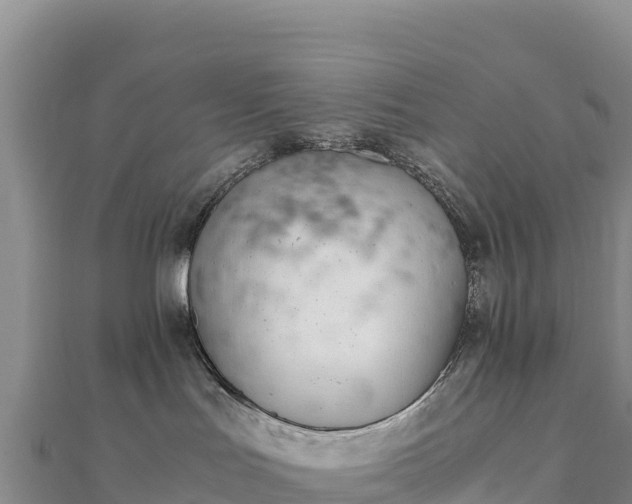 X0000110730047200906191535