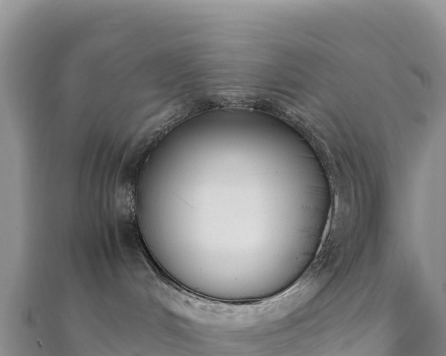 X0000110730048200906191535