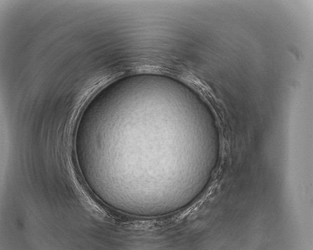 X0000110730049200906191534