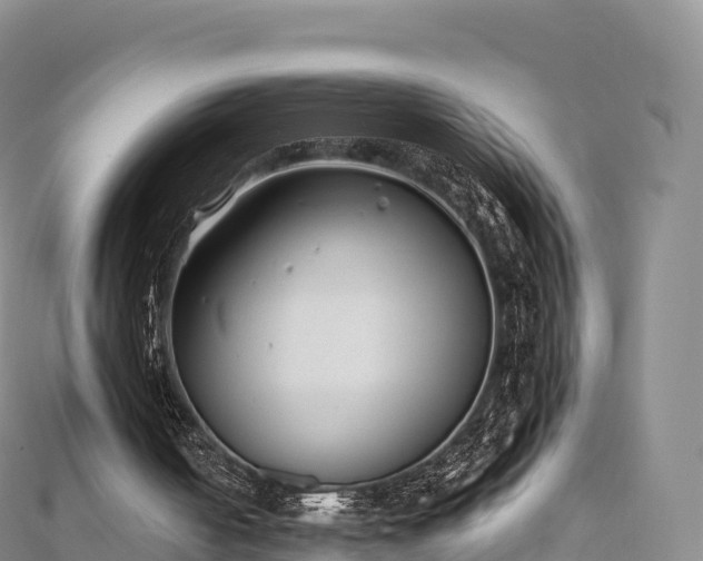 X0000110730050200906191534