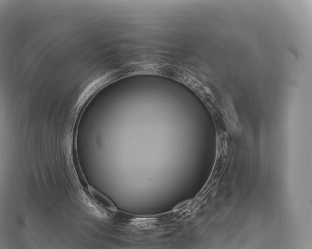 X0000110730051200906191534