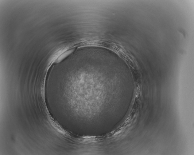 X0000110730052200906191534