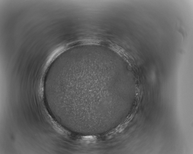 X0000110730053200906191534