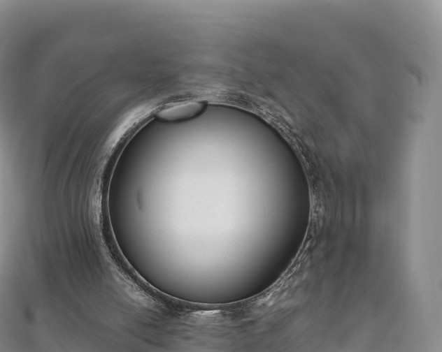 X0000110730054200906191534