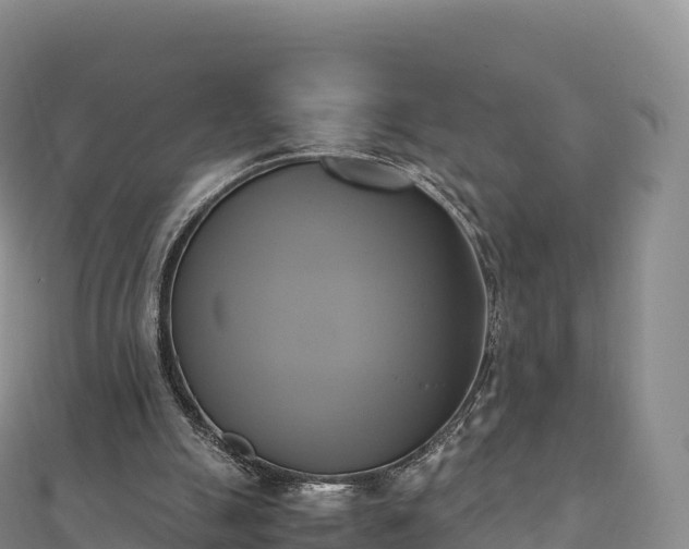 X0000110730055200906191534