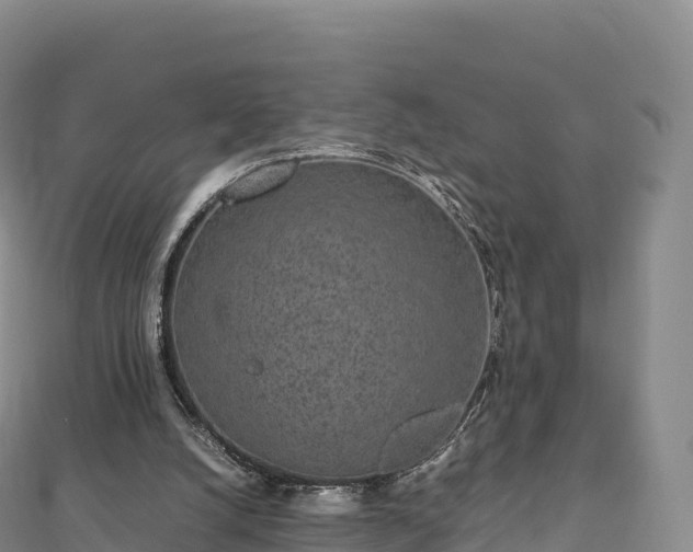 X0000110730056200906191534