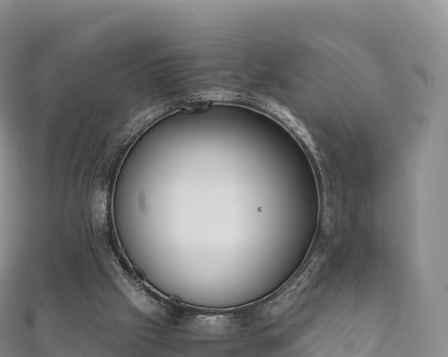 X0000110730057200906191534