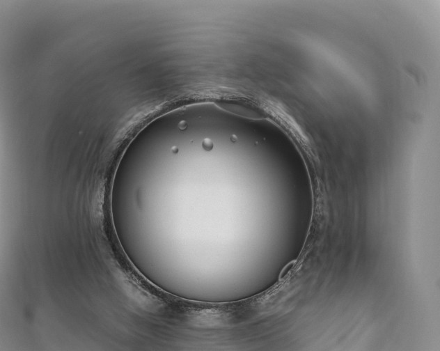 X0000110730058200906191534