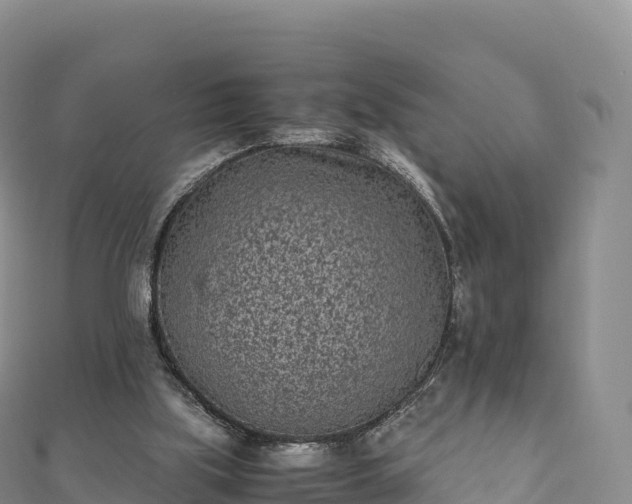 X0000110730059200906191534