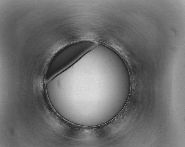 X0000110730060200906191534