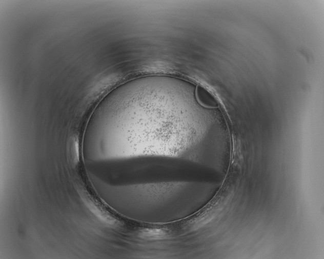 X0000110730061200906191534