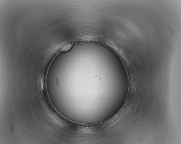 X0000110730062200906191534