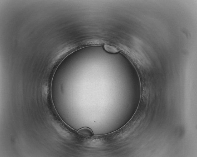 X0000110730063200906191534