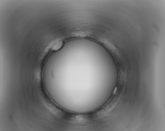 X0000110730064200906191534