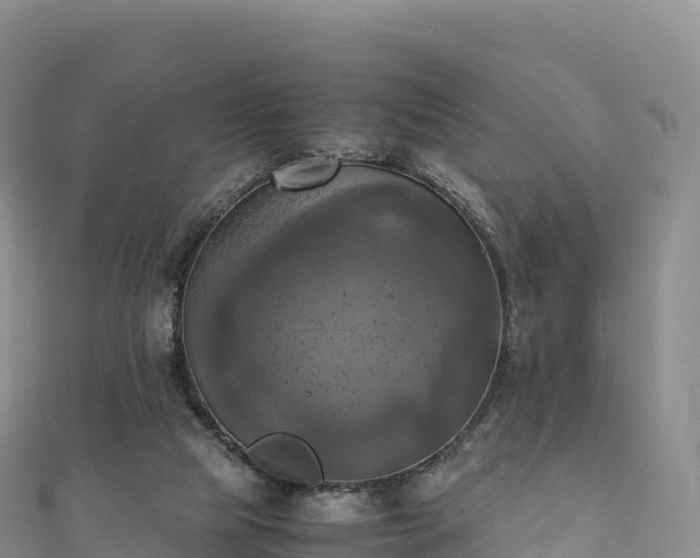 X0000110730065200906191534