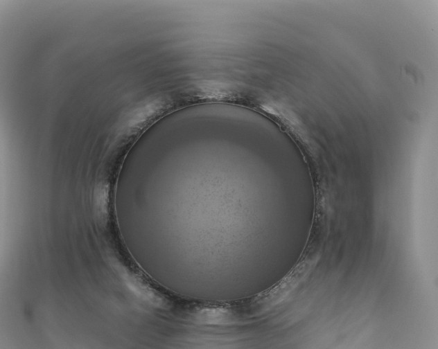 X0000110730066200906191534